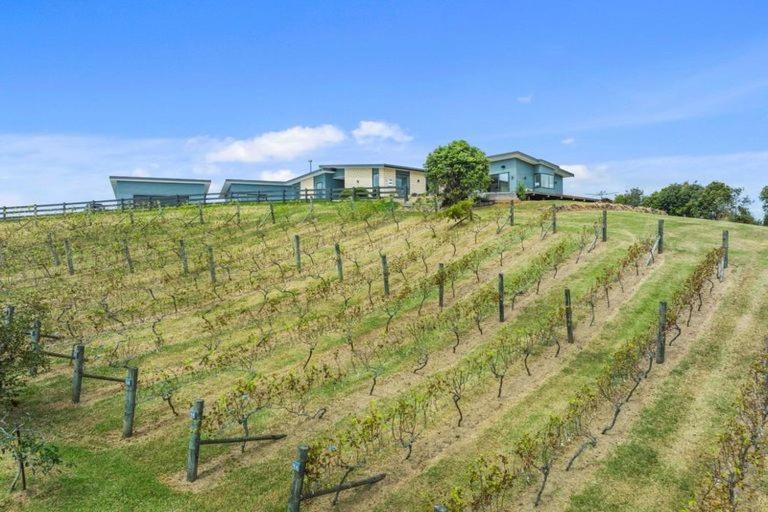 Hotel Vineyard Vacation Mangawhai Zewnętrze zdjęcie